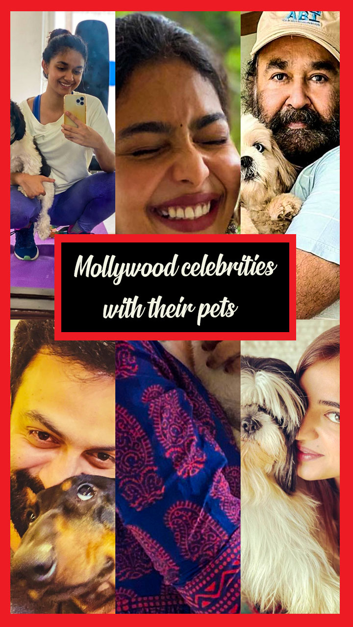 Mollywood celebrities with their pets