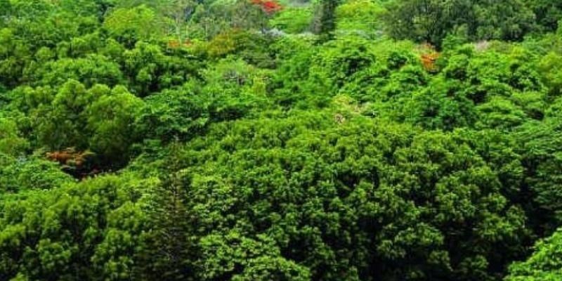 Telangana wants 100 crores for increasing ‘Green’ cover