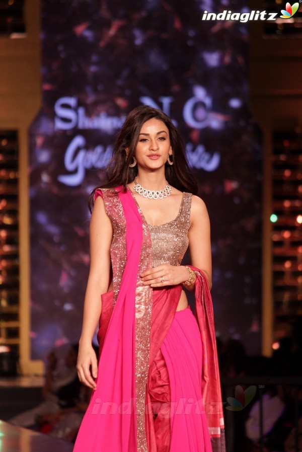 Amitabh, Varun, Alia Walk the Ramp for Cancer Patients at Fevicol Caring With Style