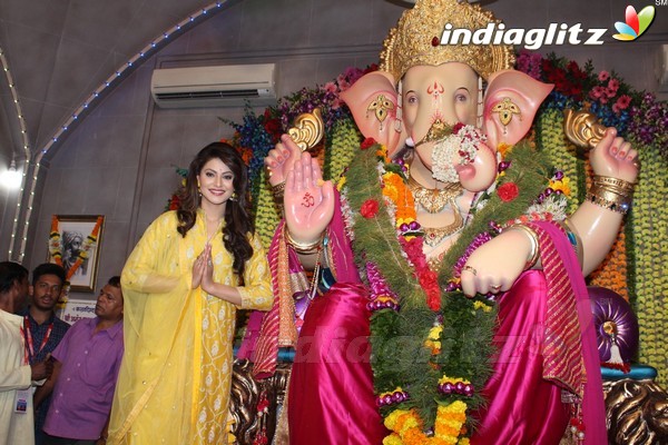 Urvashi Rautela Visits Andheri Cha Raja 2017