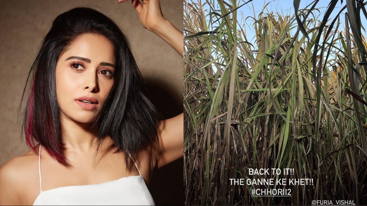 Nushrratt Bharuccha is back to ganne ke khet for ‘Chhorii 2’ shoot! 