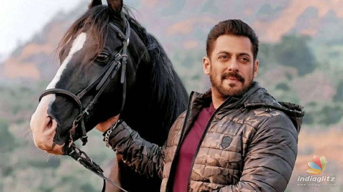 Heres how much Salman Khan is charging for his cameo in Pathan 