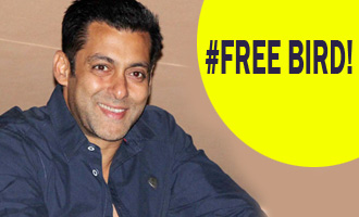 Salman Khan is a free bird!