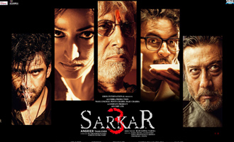 Sarkar 3 Review