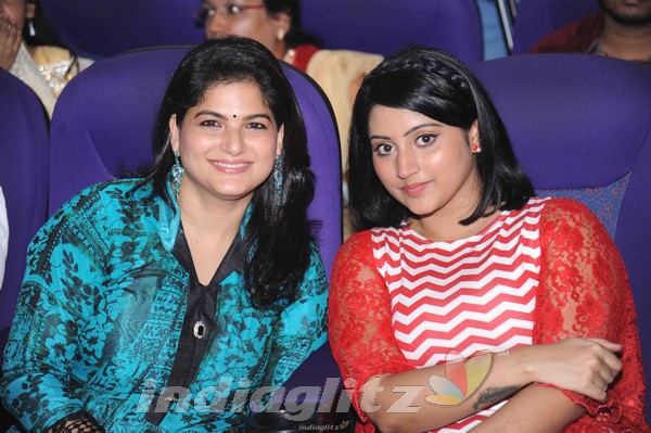 Crack Film Audio Launch