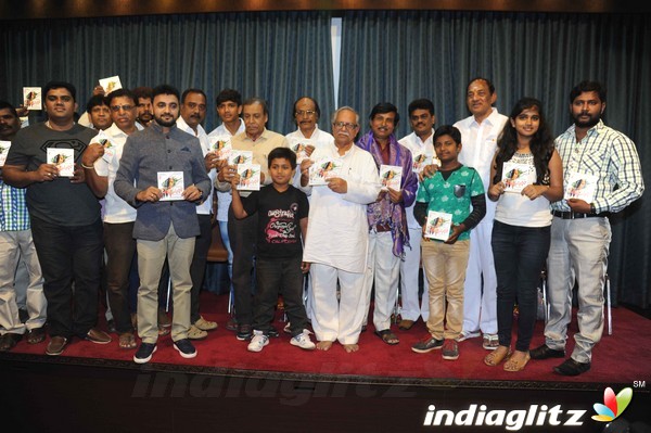 Hoo Manasu Audio Launch