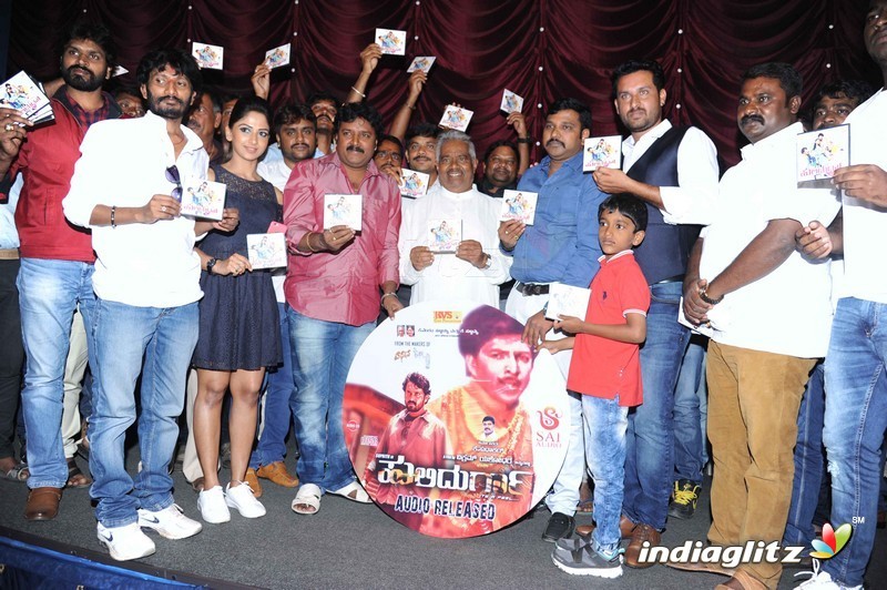 Huli Durga Film Audio Release