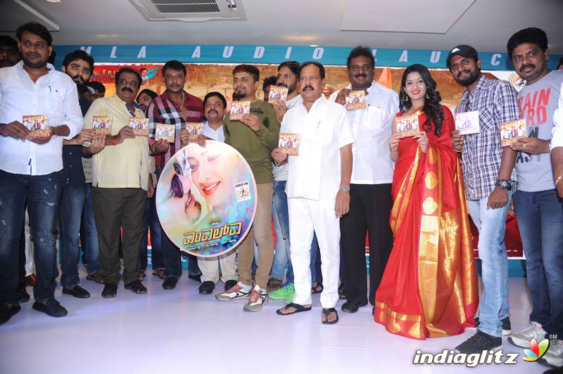 MLA Film Audio Launch