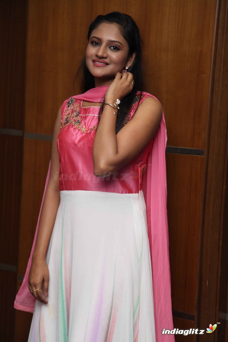 Raja Hamsa Film Press Meet