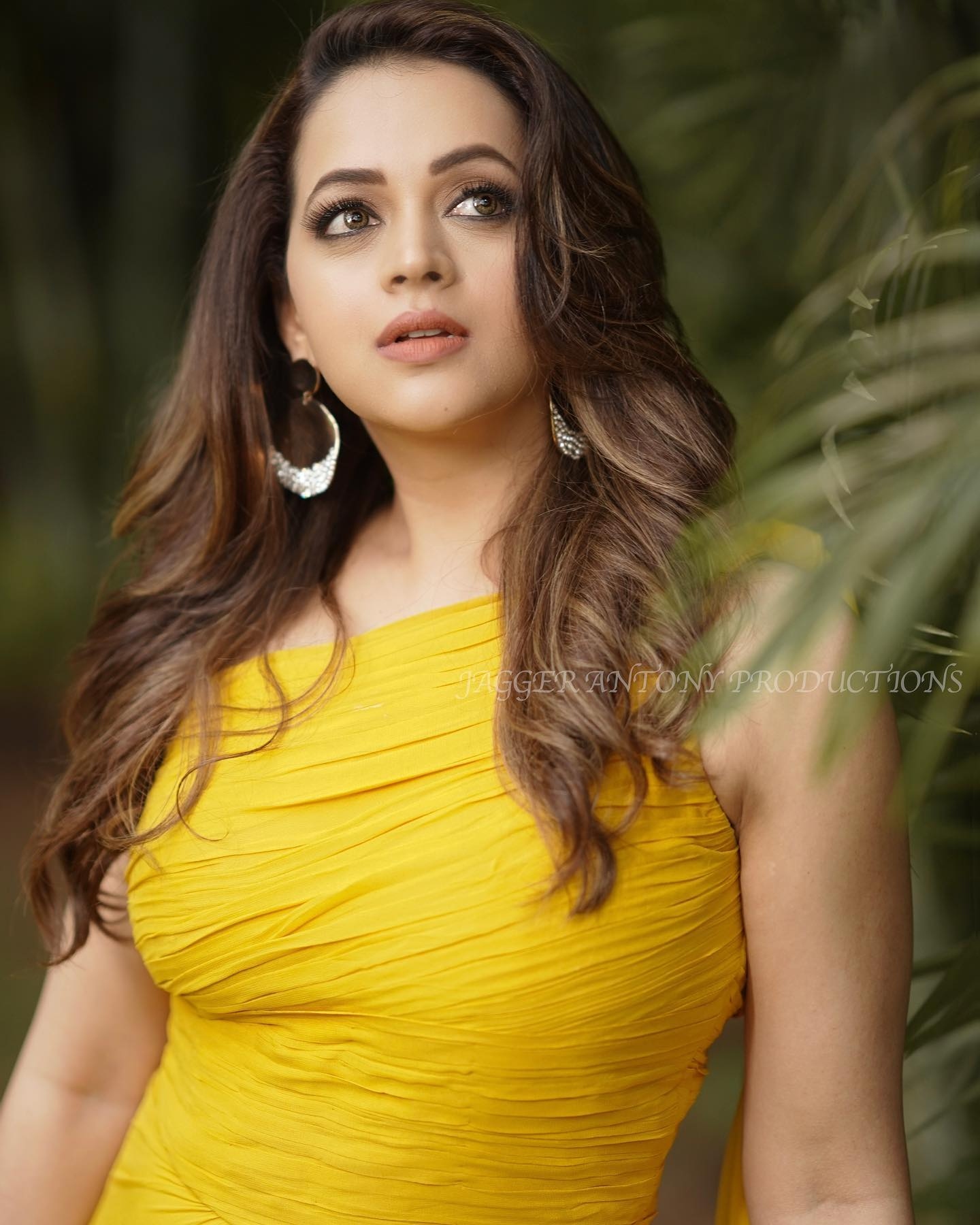 bhavana case