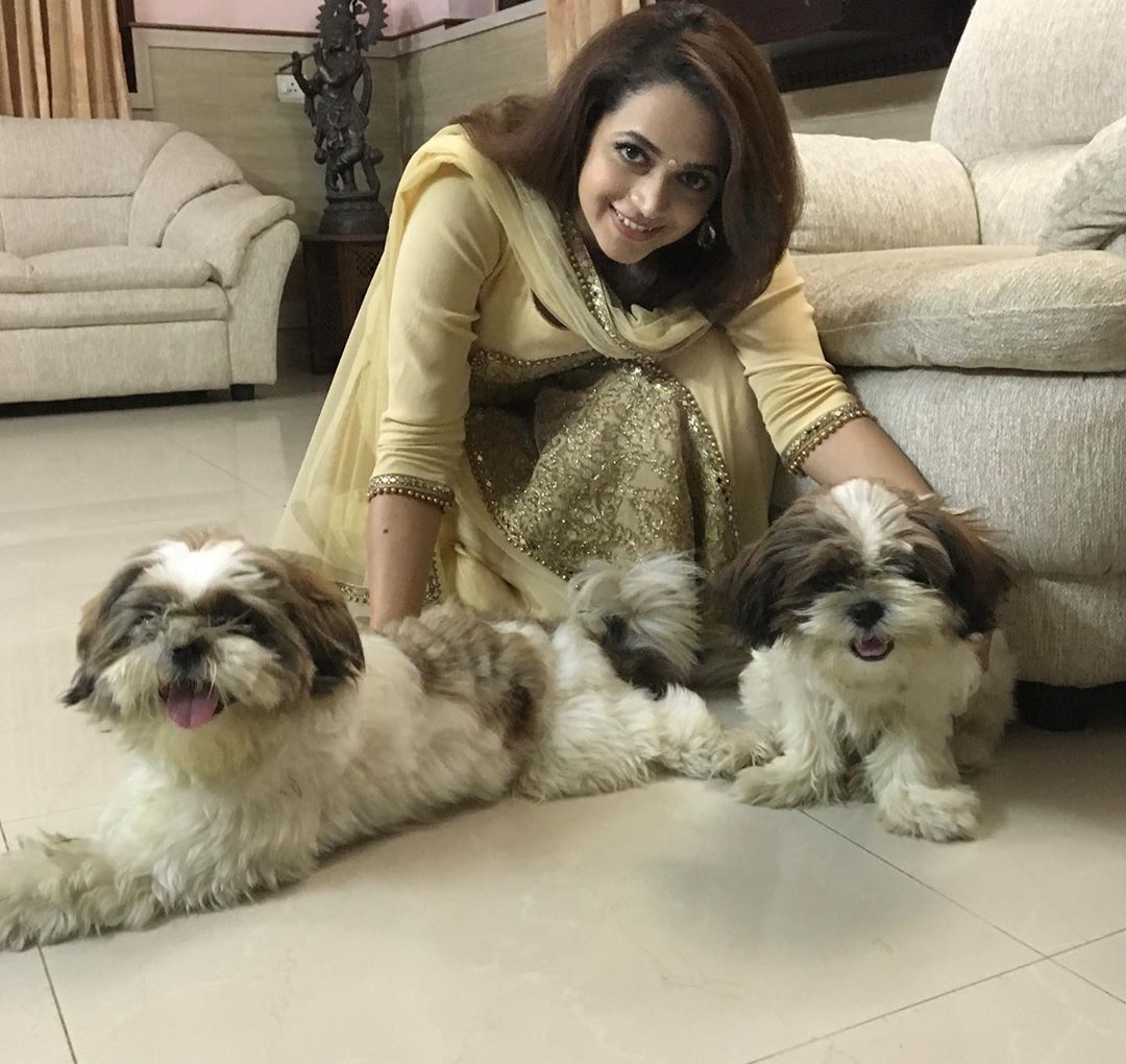 Bhavana pets