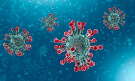 coronavirus