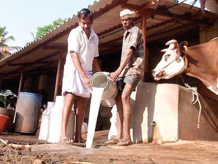 kerala farmer