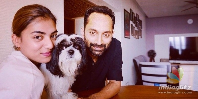 nazriya fahadh faasil pet