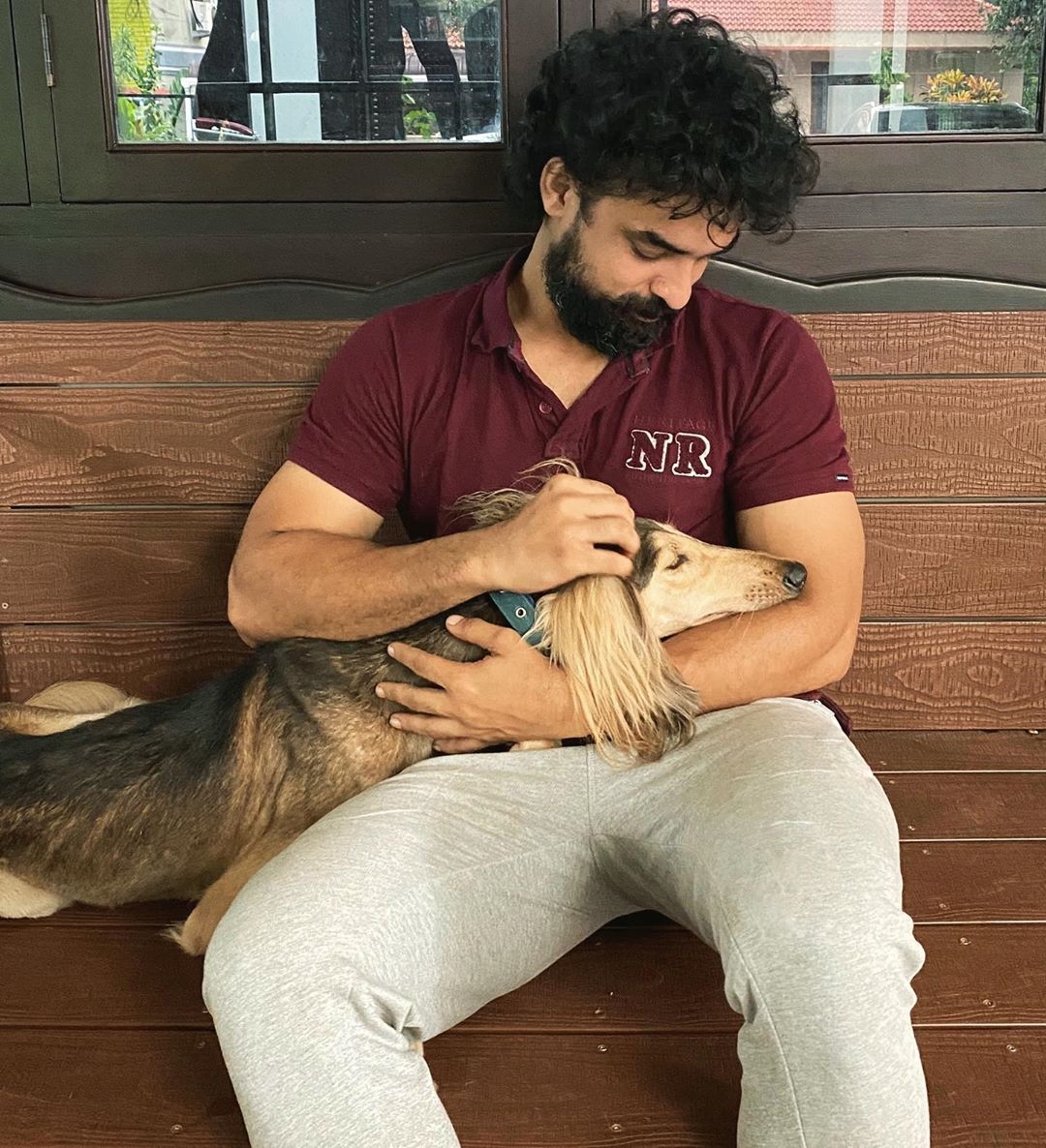 tovino pet