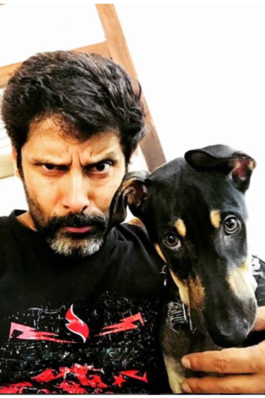 vikram pet