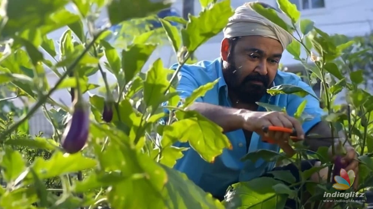 Watch: Mohanlal gives a glimpse from his organic farm house!