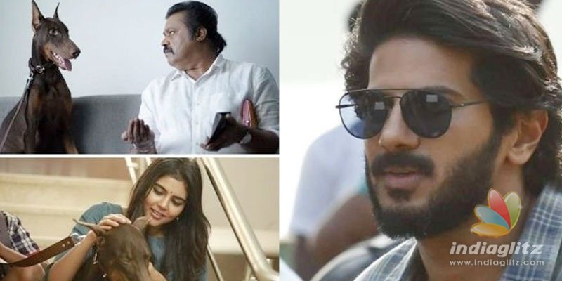 Dulquer Salmaan apologises for insulting Tamil audience!