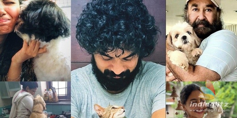 In pics: Malayalam actors and their adorable pets