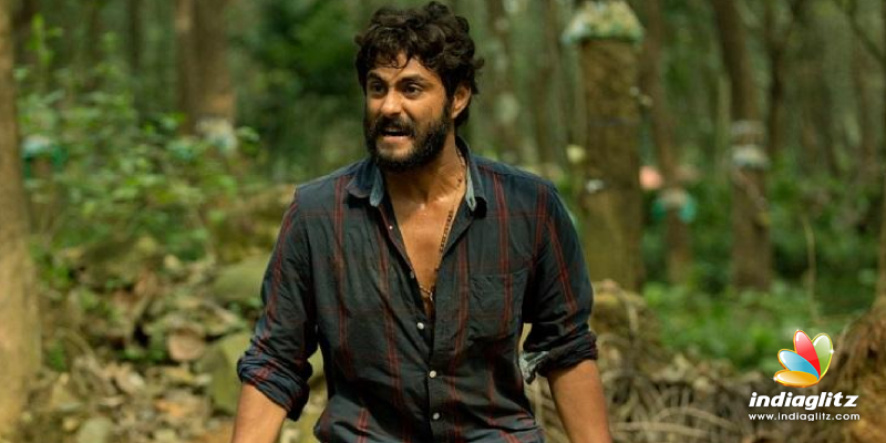 Antony Varghese - Angamaly Diaries