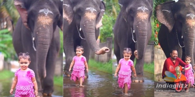 ADORABLE: Meet the viral baby and her elephant