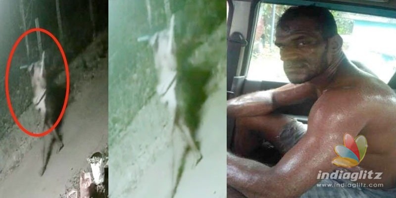 Mysterious giant Black Man: Kerala Polices fresh headache!