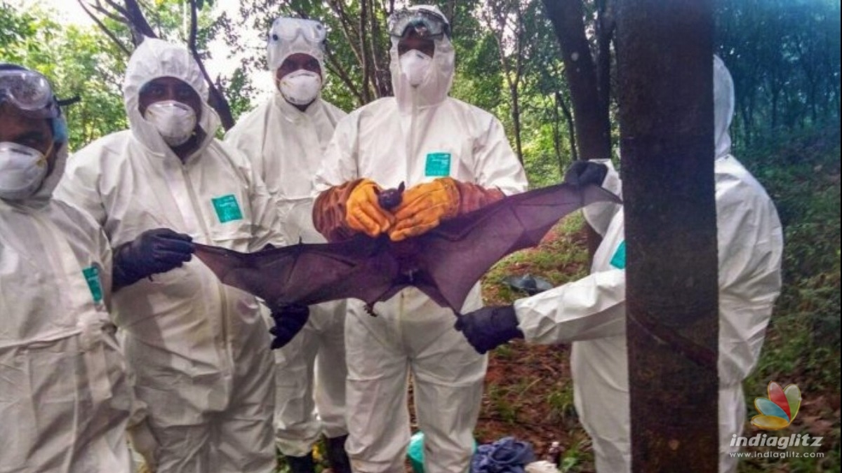 Two people show Nipah virus symptoms 