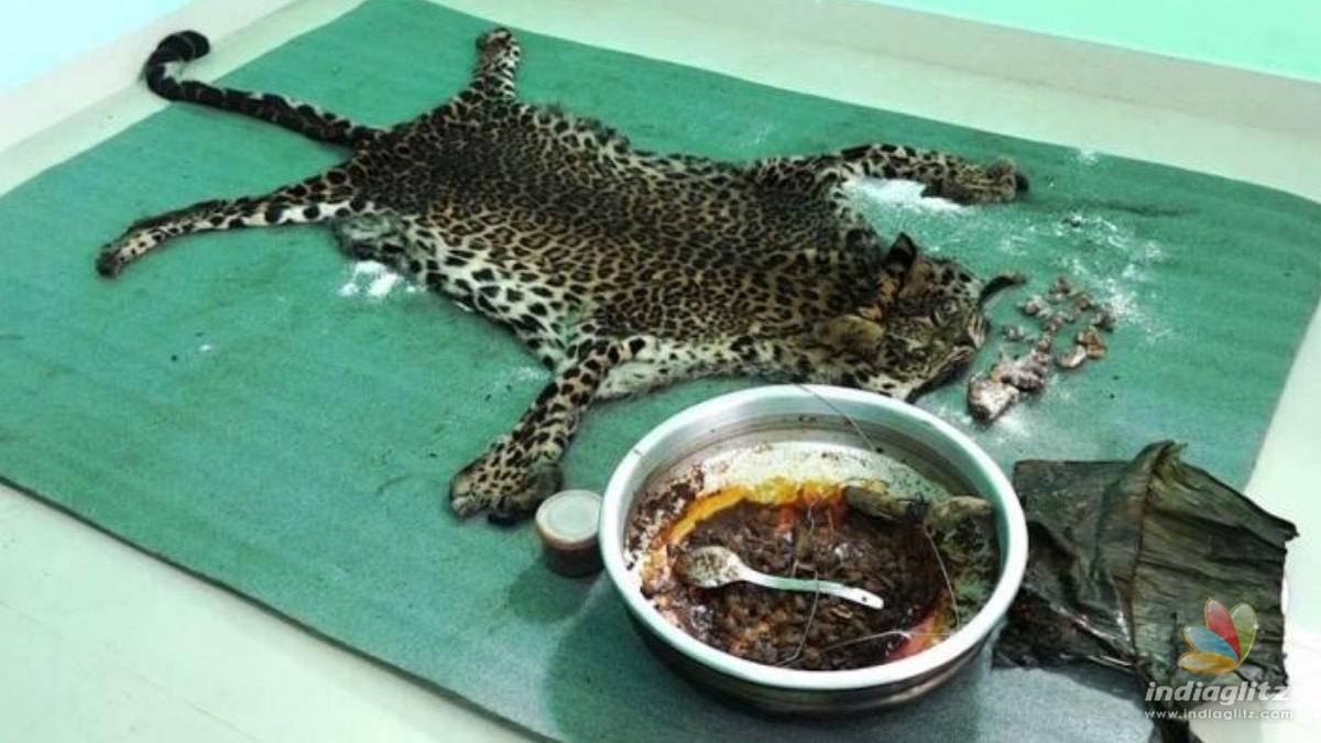 SHOCKING: 5 arrested for killing and eating wild leopard 