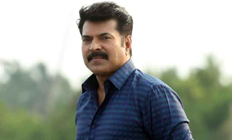 Mammootty says 'Jallikattu Agitation' is against privatization