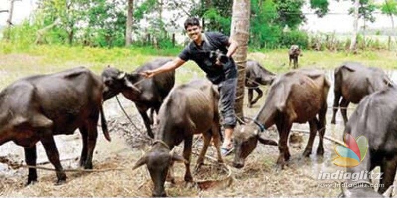 Award-winning photographer turns buffalo seller 