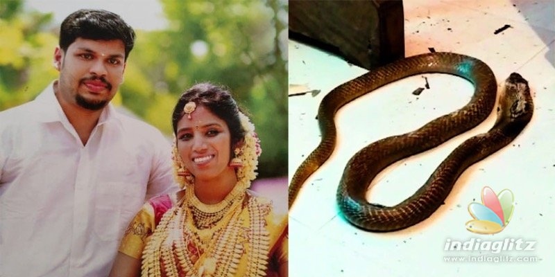 Snakebite death of woman, husband arrested; Shocking murder plan!