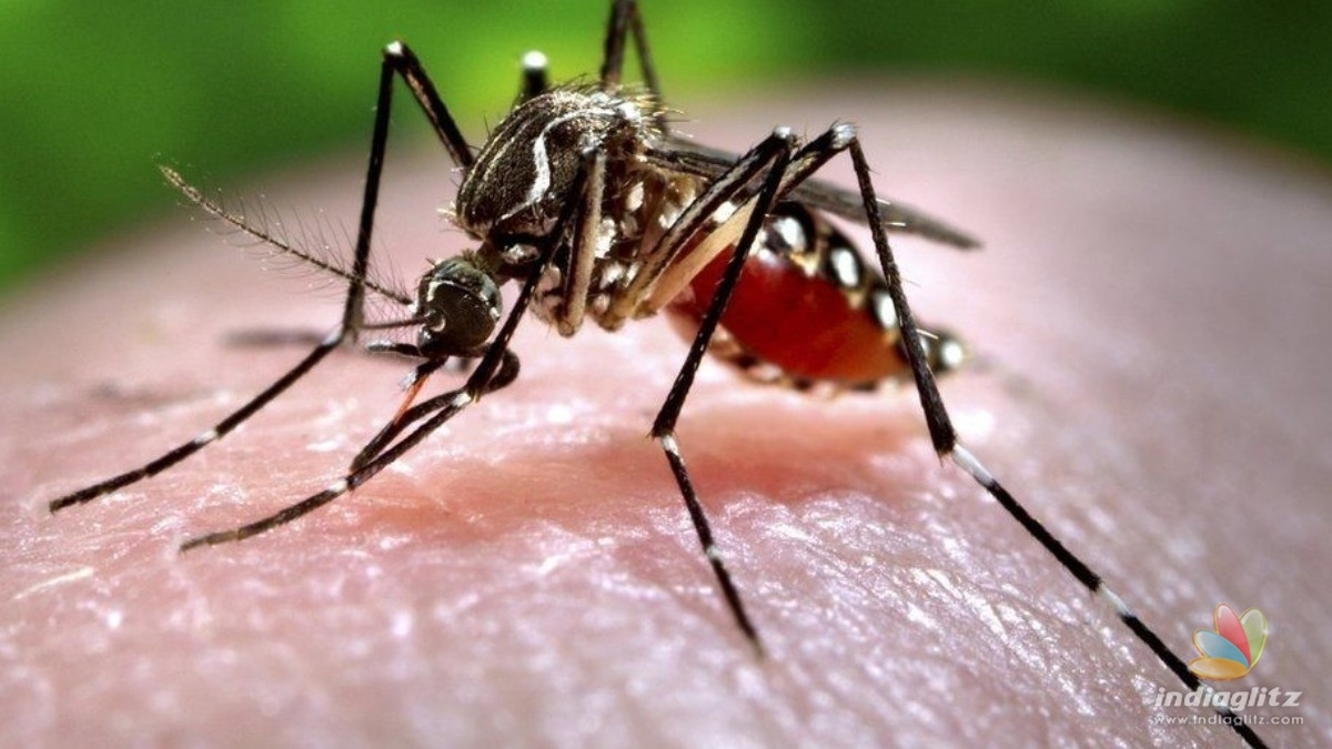 Zika virus: Alarming number of cases reported in Kerala