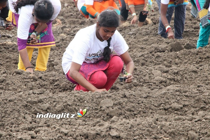 Actor Aari at Naanum Oru Vivasaiee Event