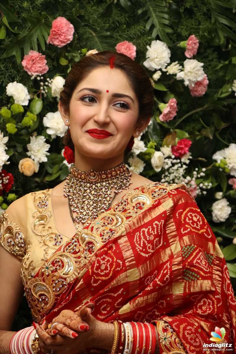 Arya & Sayyeshaa Wedding Reception