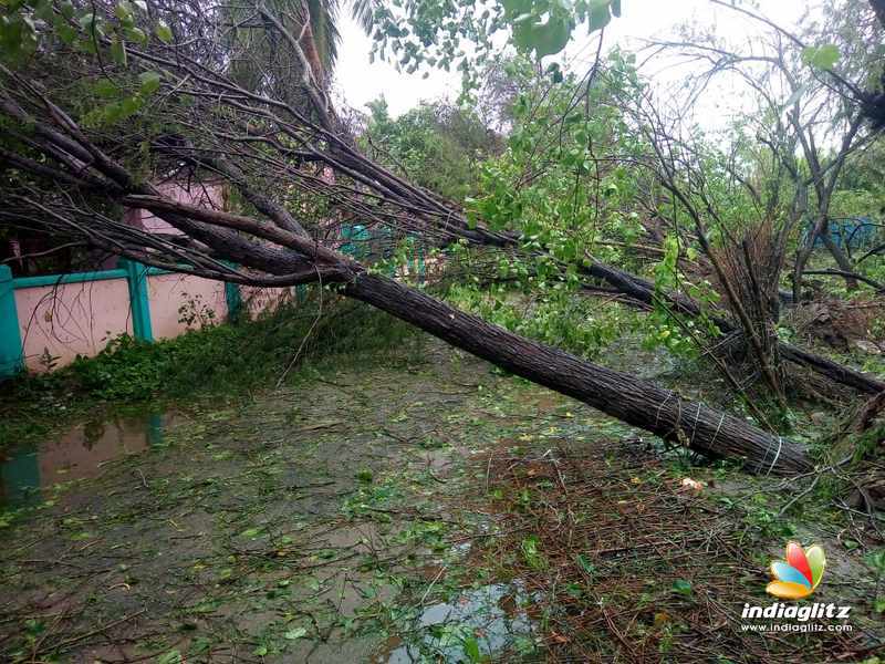 Aftermaths of cyclone Gaja