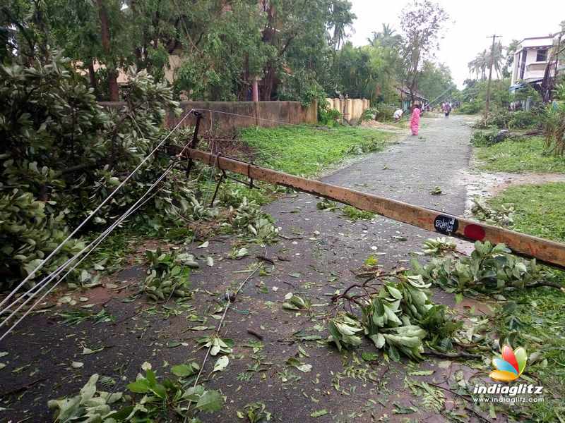 Aftermaths of cyclone Gaja