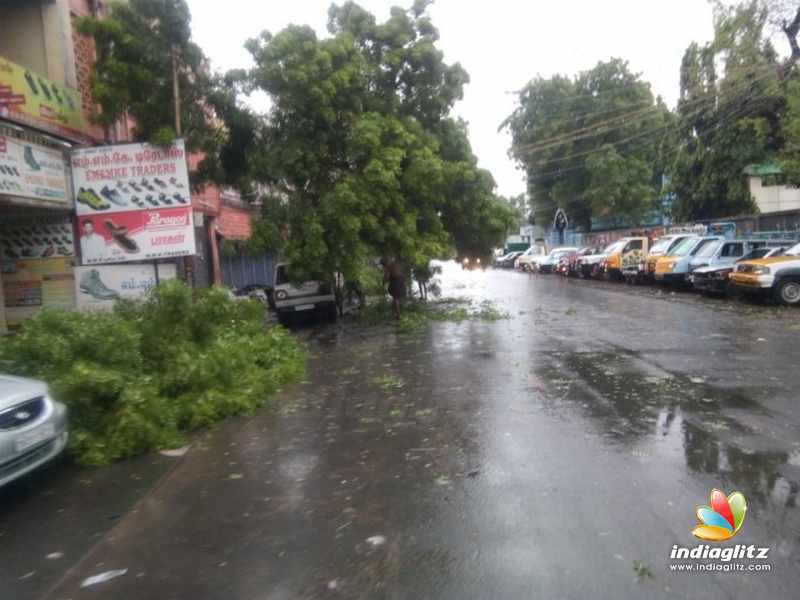 Aftermaths of cyclone Gaja