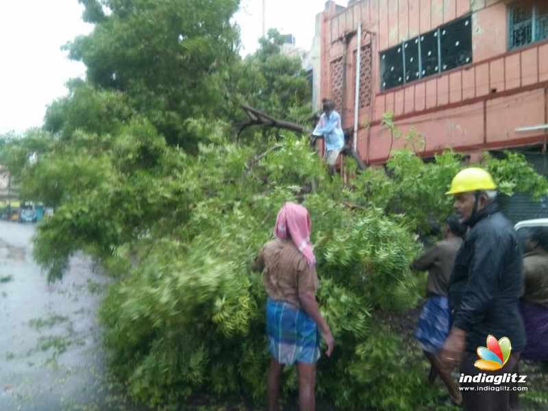 Aftermaths of cyclone Gaja