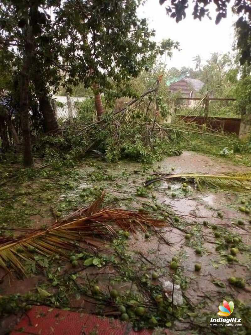 Aftermaths of cyclone Gaja