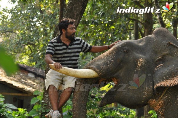 'Kumki' Shooting Spot