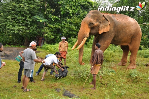 'Kumki' Shooting Spot