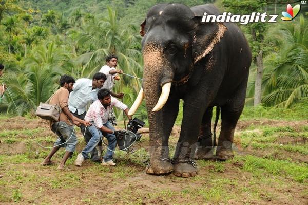 'Kumki' Shooting Spot