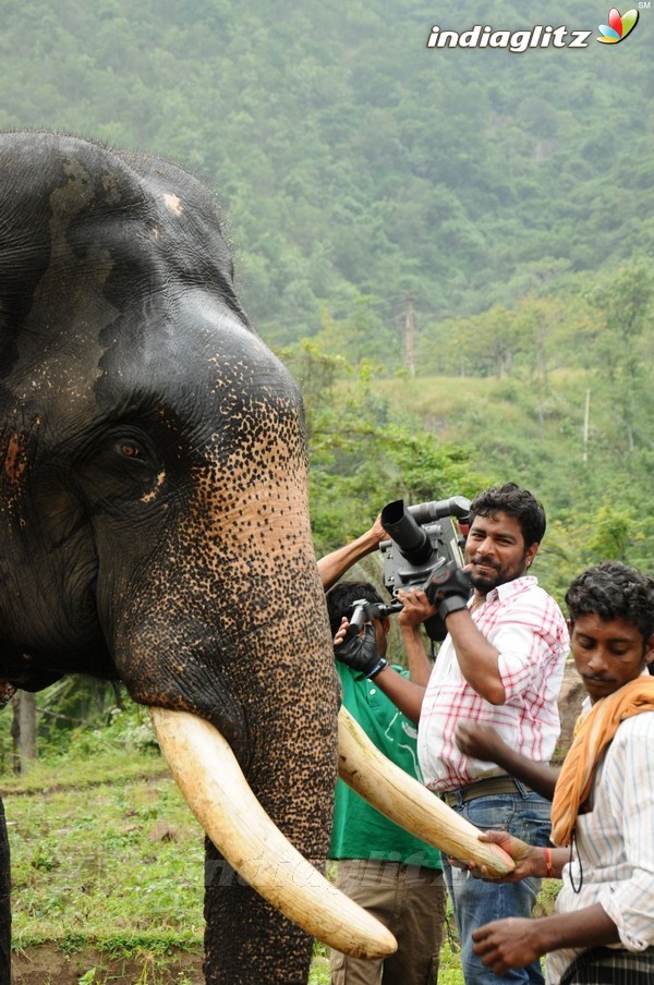 'Kumki' Shooting Spot