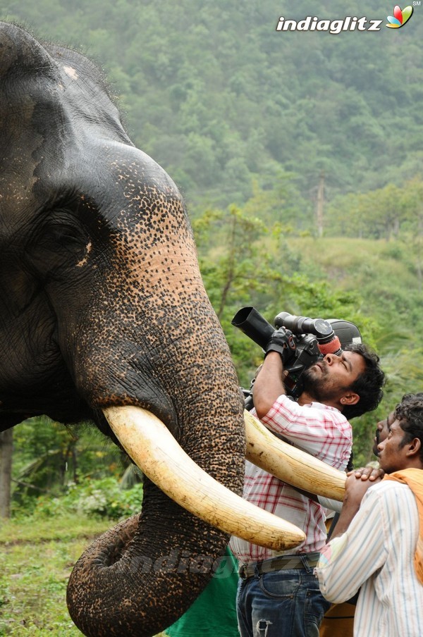 'Kumki' Shooting Spot