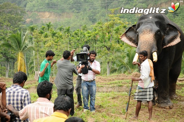 'Kumki' Shooting Spot