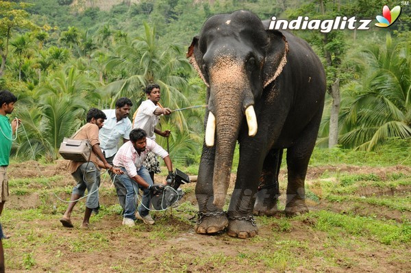 'Kumki' Shooting Spot