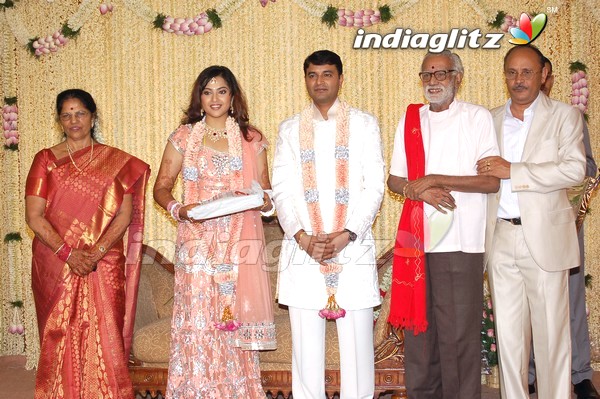 Meena Wedding Reception