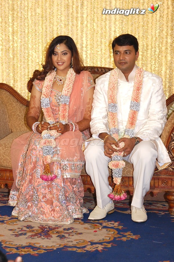 Meena Wedding Reception