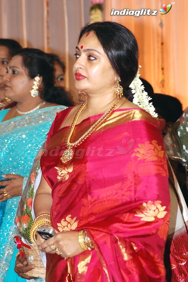 Meena Wedding Reception