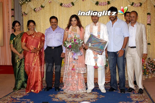 Meena Wedding Reception